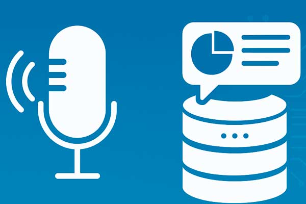 Заполнение CRM голосом